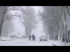Podgrzewacz na ramię i szyję z funkcją podczerwieni i jonów ujemnych